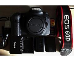 Canon EOS 60D PLUS Canon EF 18-55mm + 50mm f1.8 